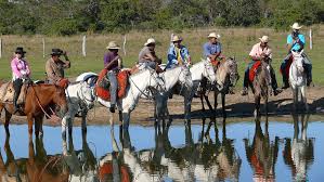 Pantaneiro horse riders crossing a flooded field