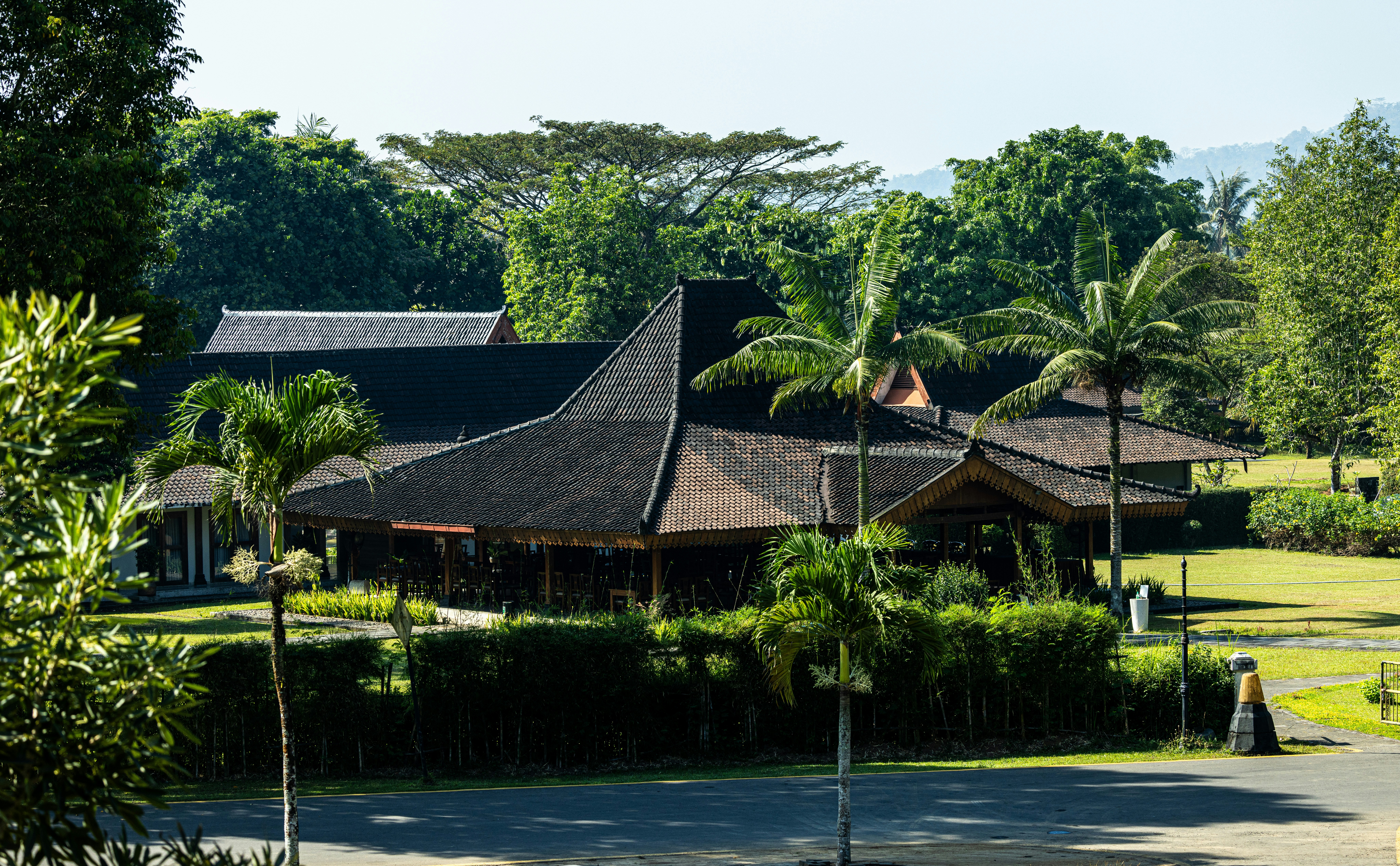 Simple rural buildings and trees near water in a wetland area